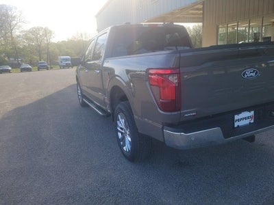 2026 Ford F-150 XLT 4X4