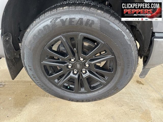 2024 Ford F-150 Platinum 4X4