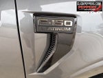 2024 Ford F-150 Platinum 4X4