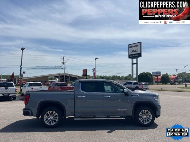 2025 GMC Sierra 1500 Denali